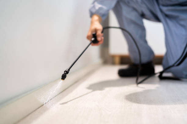 Licensed Termite Control service in Vardaman, MS - Show Me Pest Control