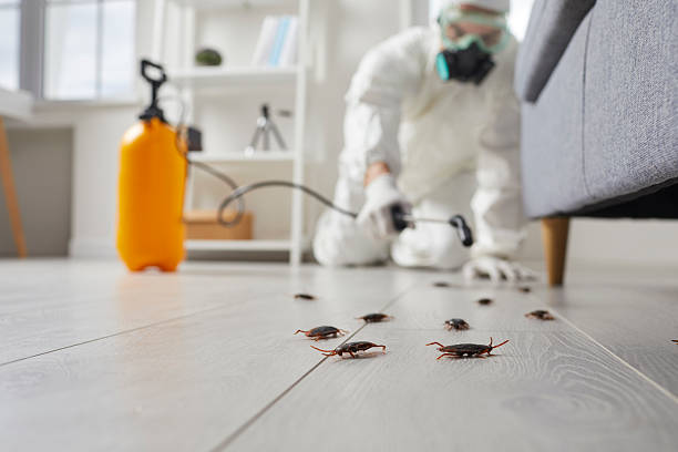 Post-Treatment Bed Bug Interceptor Monitoring in Vardaman