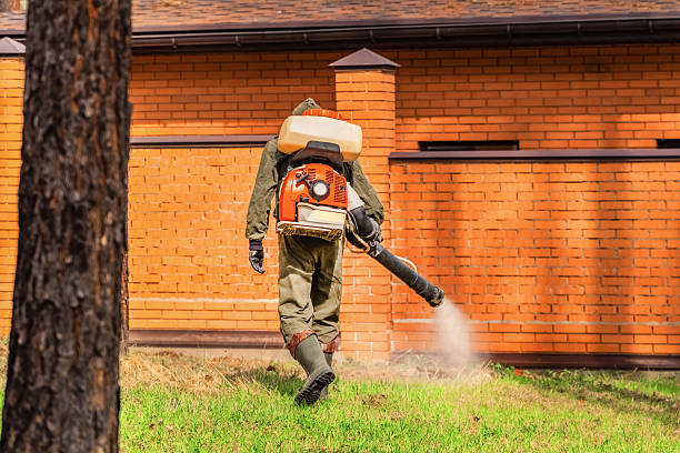 Bed Bug Clearance Verification and Documentation in Vardaman